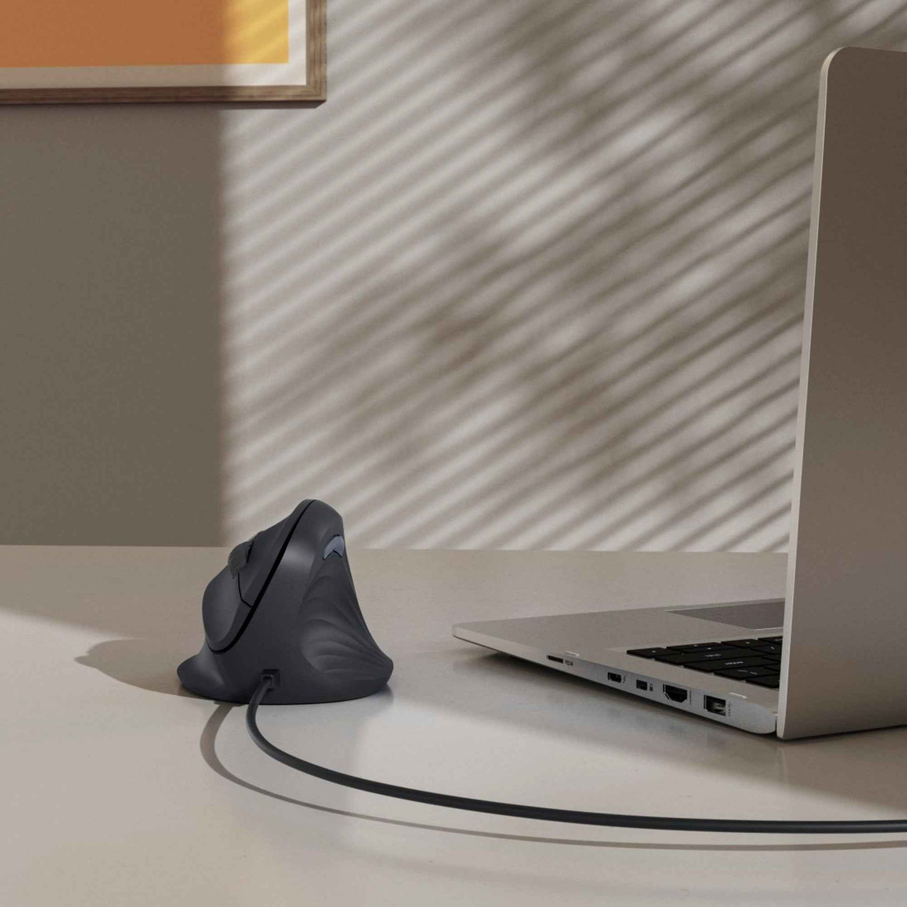 Hama Optische PC Maus ECM-500R ergonomisch