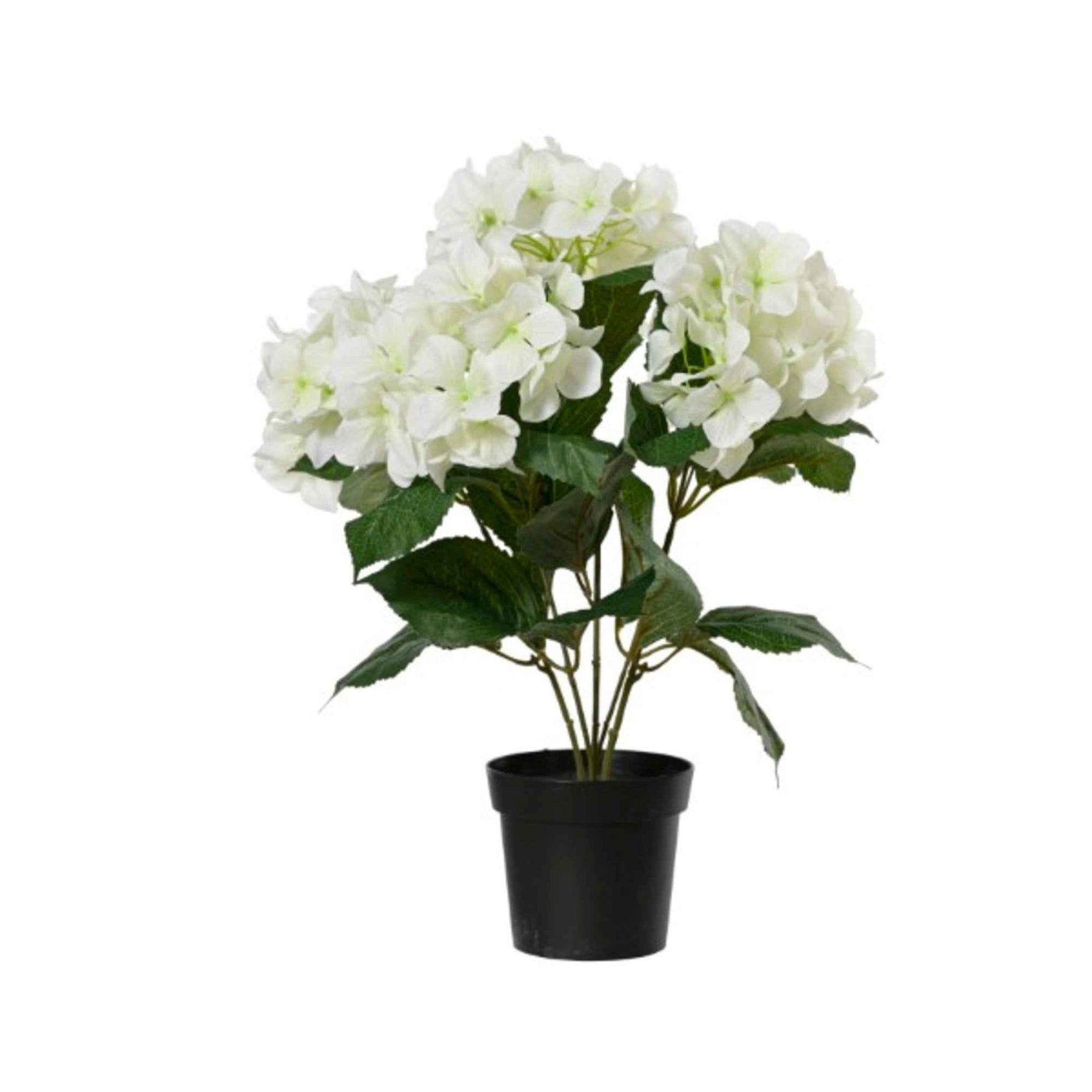 DECORIS Kunstpflanze Hortensie