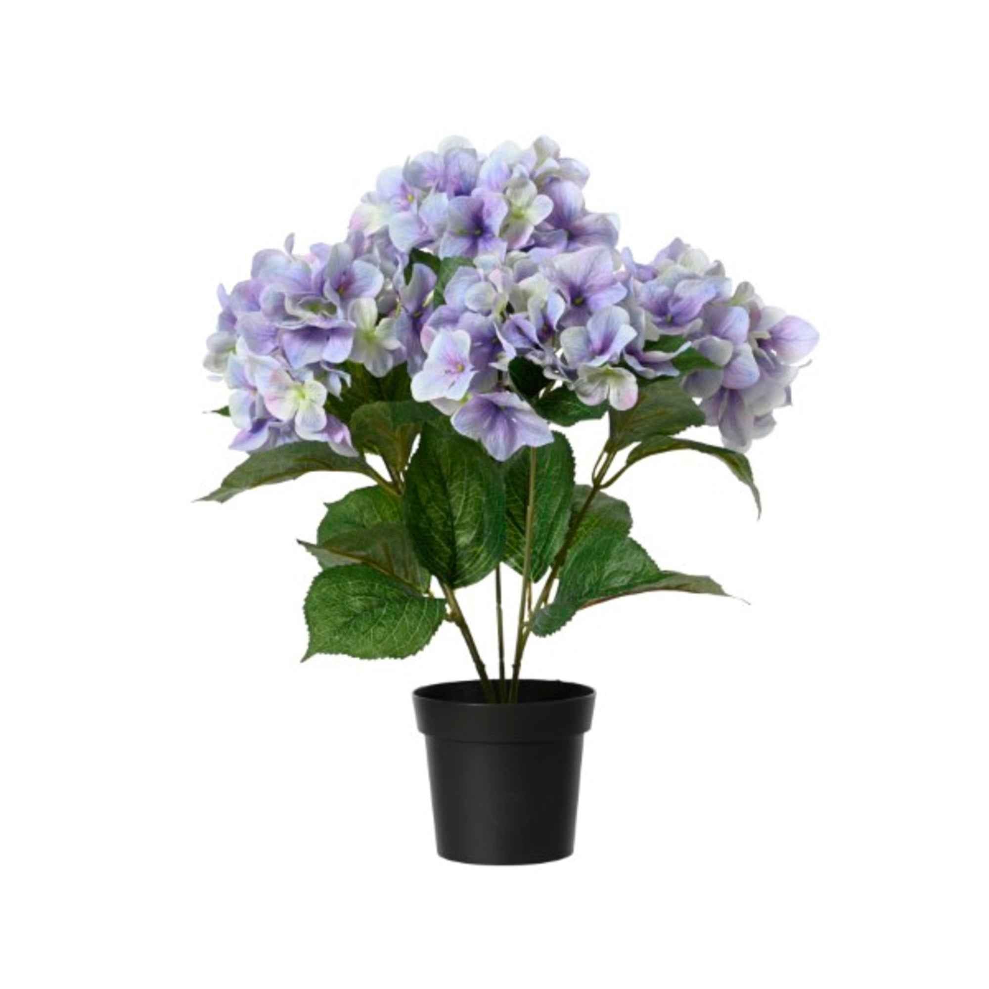 DECORIS Kunstpflanze Hortensie