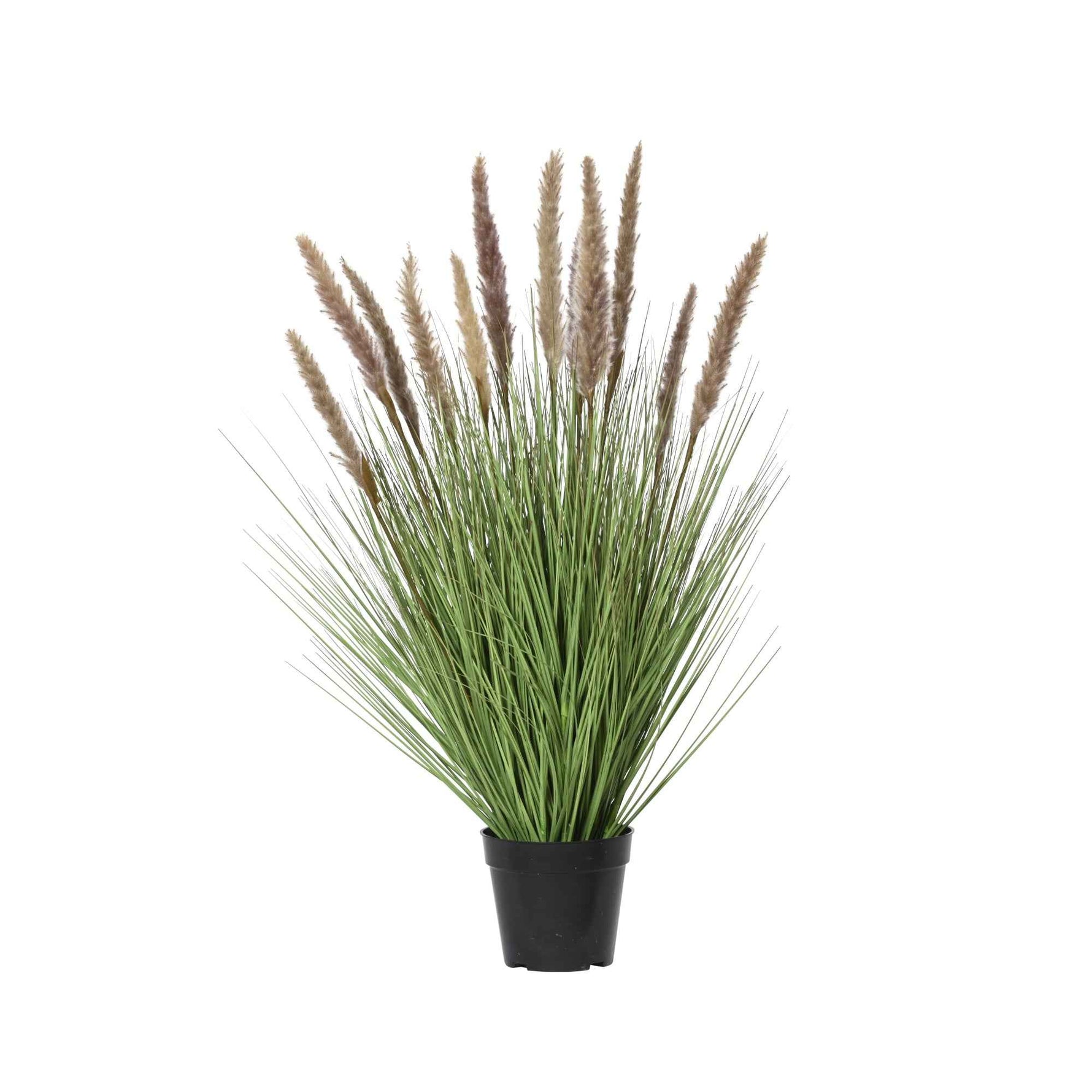DECORIS Kunstpflanze Lampenputzergras