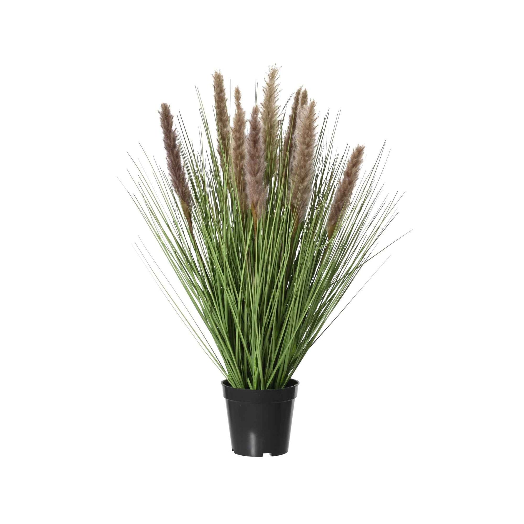 DECORIS Kunstpflanze Lampenputzergras