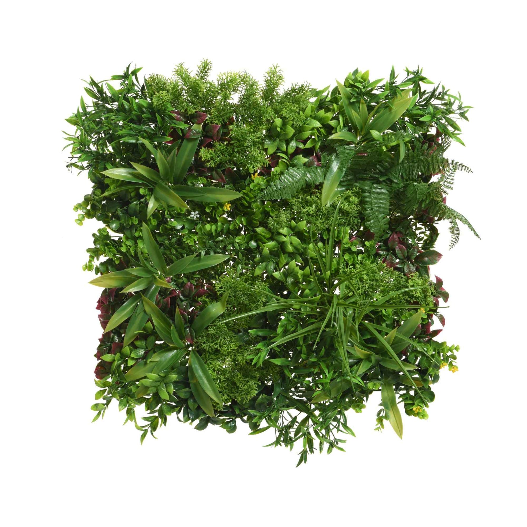 DECORIS Pflanzenbild Farn – Produktbild 2