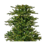 EVERLANDS Weihnachtsbaum Grandis Fir mit Beleuchtung 111 x 150 cm (Ø x H)