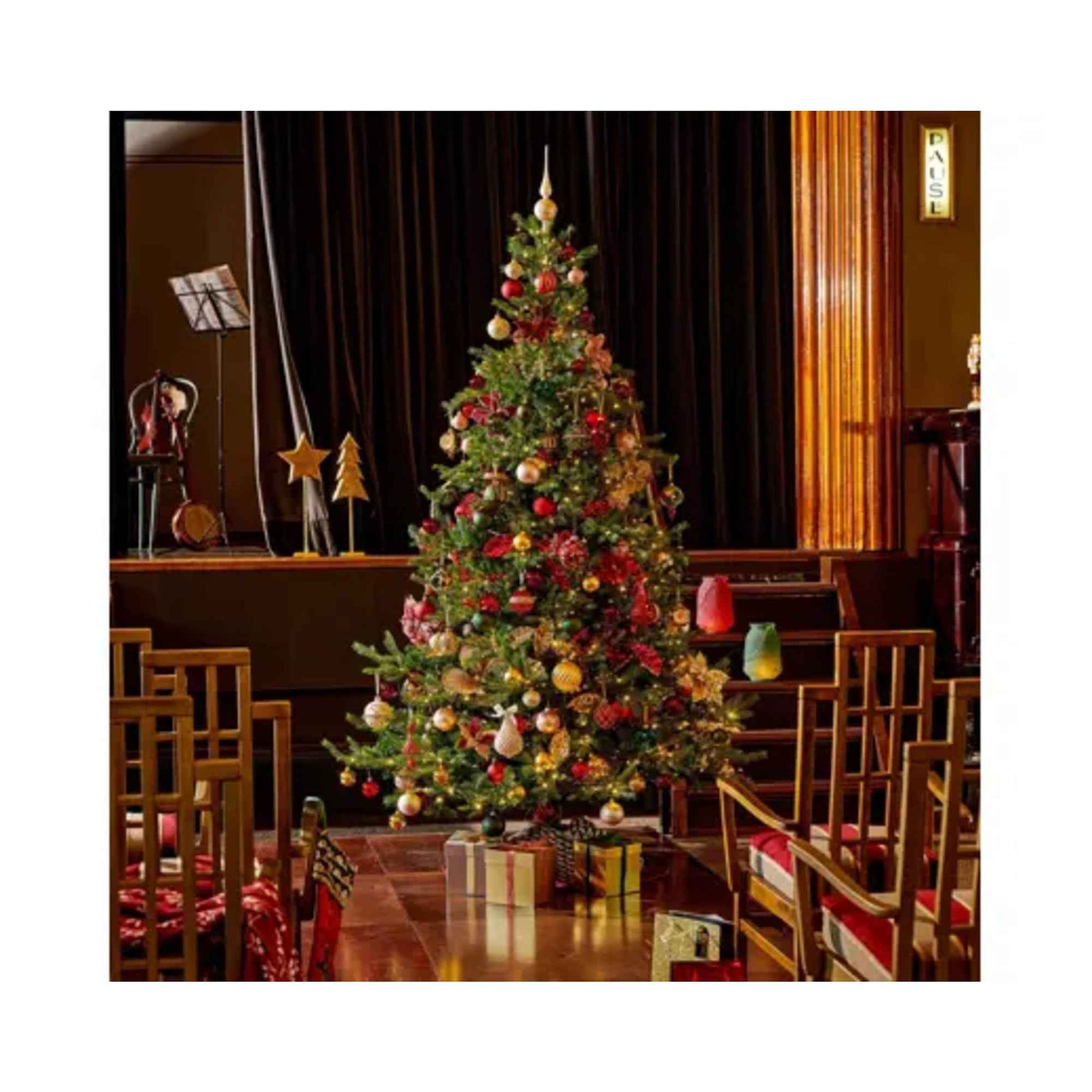EVERLANDS Weihnachtsbaum Grandis Fir mit Beleuchtung 111 x 150 cm (Ø x H)