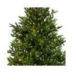 EVERLANDS Weihnachtsbaum Nordmann Tanne mit Beleuchtung 130 x 180 cm (Ø x H)