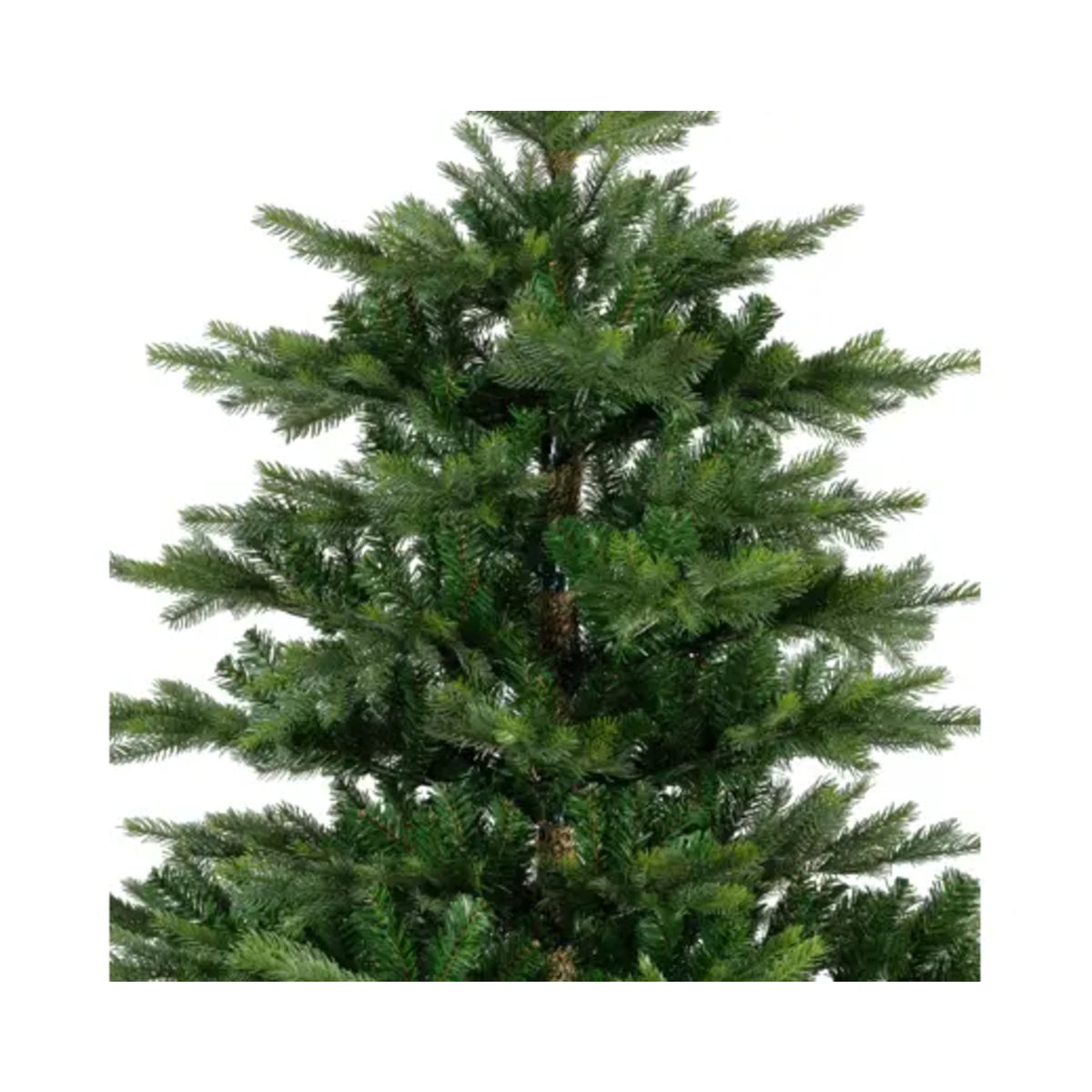 Y002067D