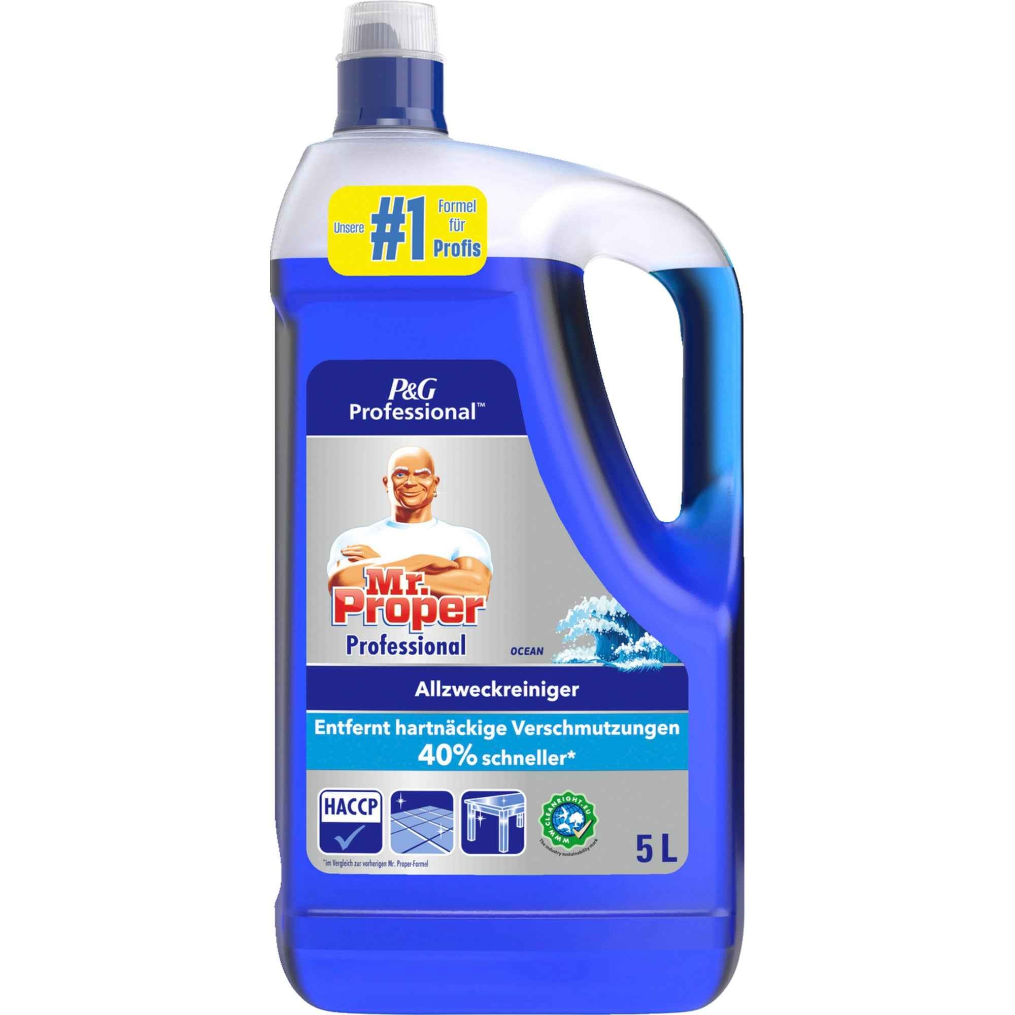 Meister Proper Allzweckreiniger Professional