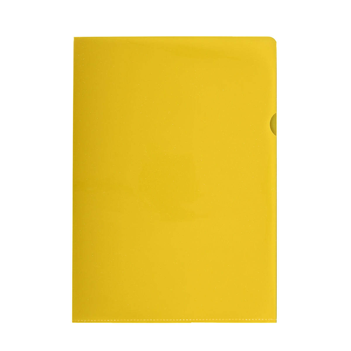 Y002118L