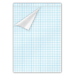 Kariertes Flipchart-Papier Wiepa Hausmarke, 67,5 x 98 cm, 20 Blatt, 5 Blöcke, für Präsentationen und Meetings