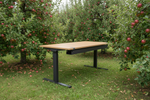 Elektromotorischer Schreibtisch WINEA STARTUP 2.0 von WINI in Dunkelanthrazit, 180 x 80 cm, mit stabilen Metallgestell.