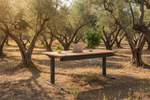 Elektrischer Schreibtisch WINEA STARTUP 2.0 von WINI, Dunkelanthrazit, 180 x 80 cm, mit sichtbarem Gestell und Tischplatte