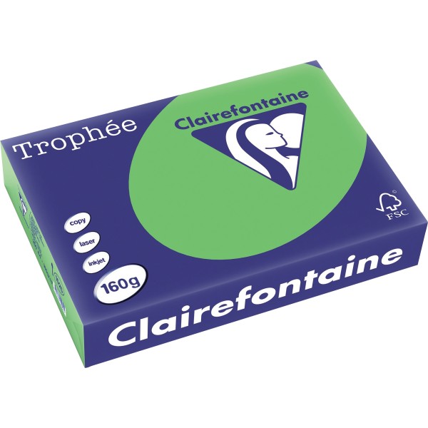 Clairefontaine Kopierpapier 1025C A4 160g maigrün 250Bl.