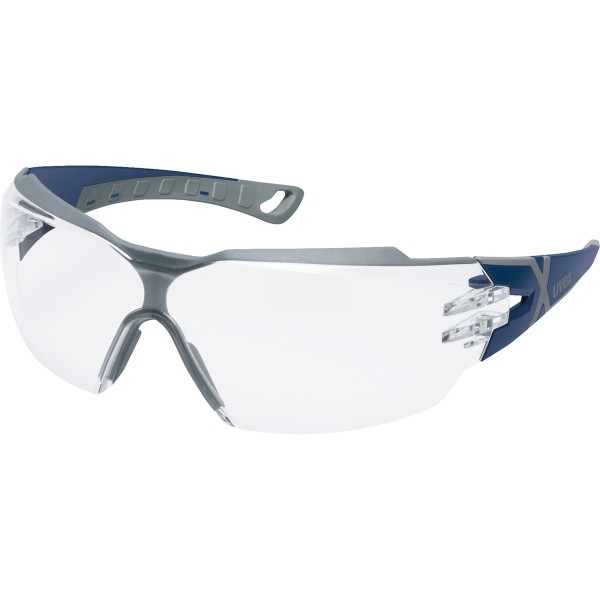 Uvex Schutzbrille pheos cx2 9198257 blau/grau