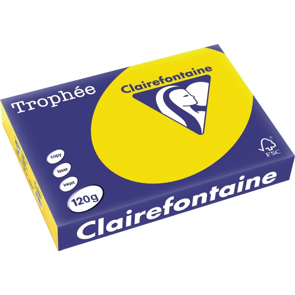 Clairefontaine Kopierpapier 1206C 025601210251 A4 120g goldge 250Bl