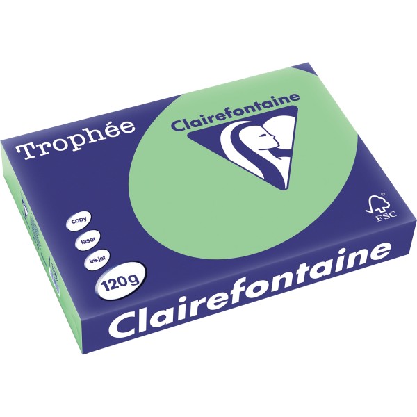 Clairefontaine Kopierpapier 1228C 025601210631 A4 120g naturgn 250Bl